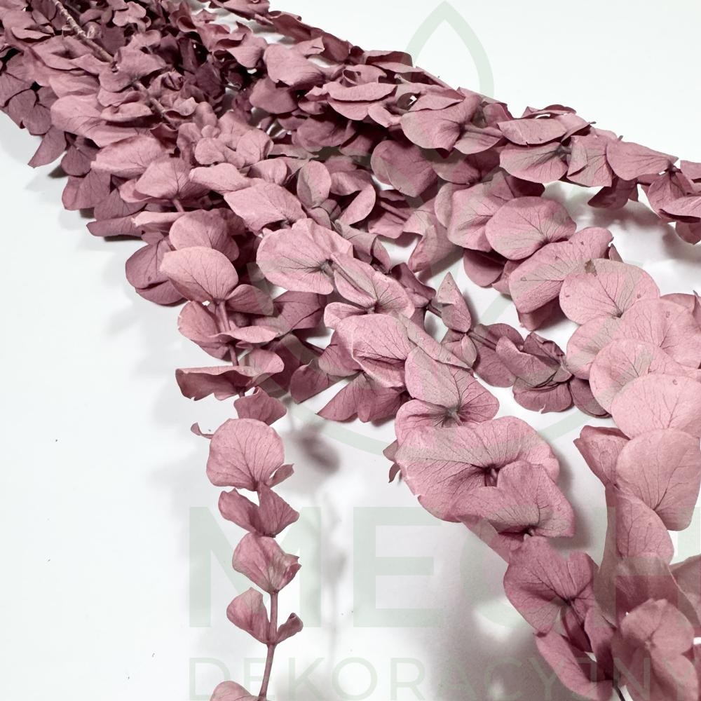 Eukaliptus wrzosowy spiral.jpg