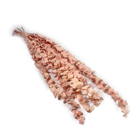 Eukaliptus spiral różowy.jpg