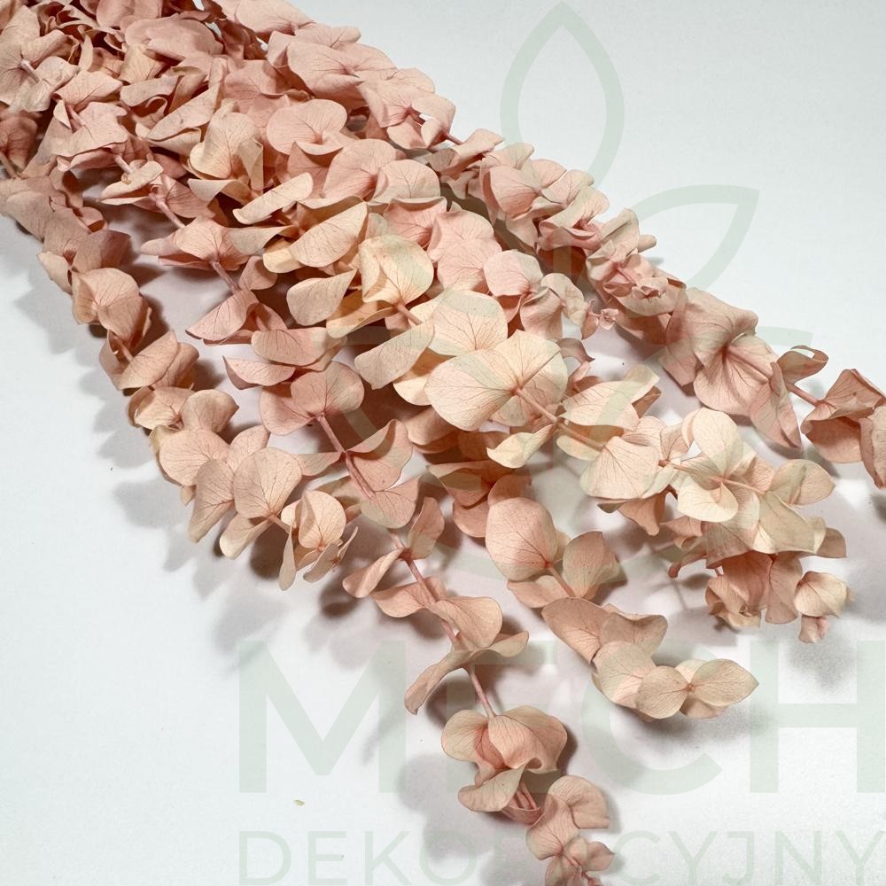 Eukaliptus stabilizowany spiral różowy.jpg