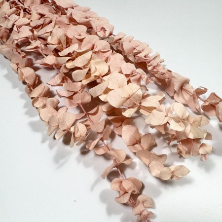 Eukaliptus stabilizowany spiral różowy.jpg