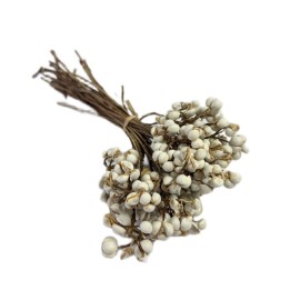 Przejdź do produktu Jagody suszone dekoracyjne | pęczek