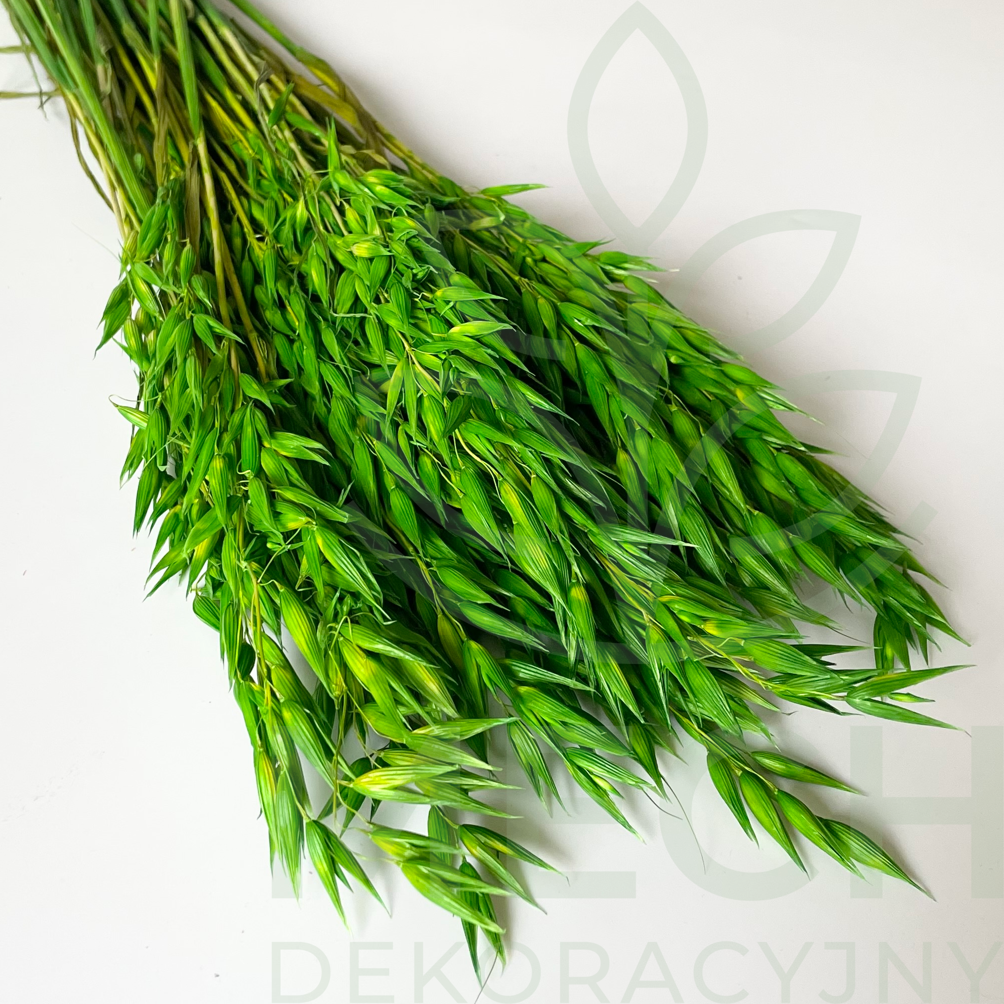 Owies zielony suszony.png