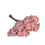 Kocanka drobna suszona | różowa | ok. 50 g