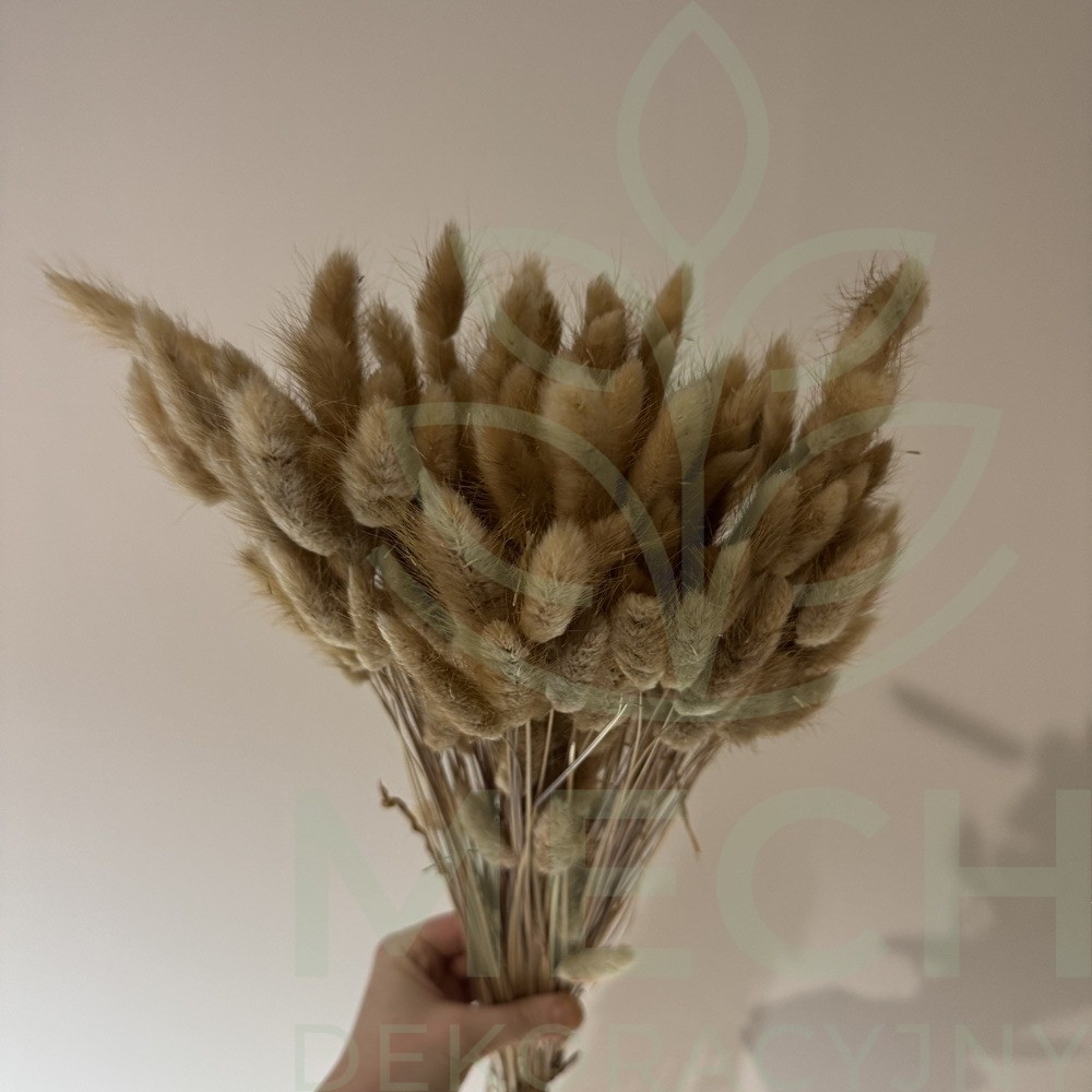 Naturalny suszony dmuszek.jpg