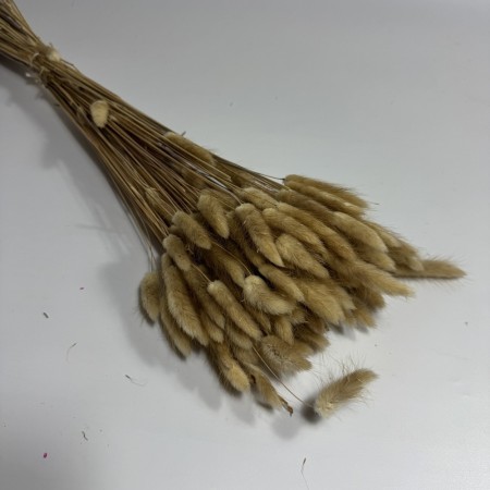 Dmuszek naturalny suszony.jpg