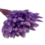 Dmuszek jajowaty (Lagurus) suszony | fioletowy | ok. 150 szt. | 60 cm