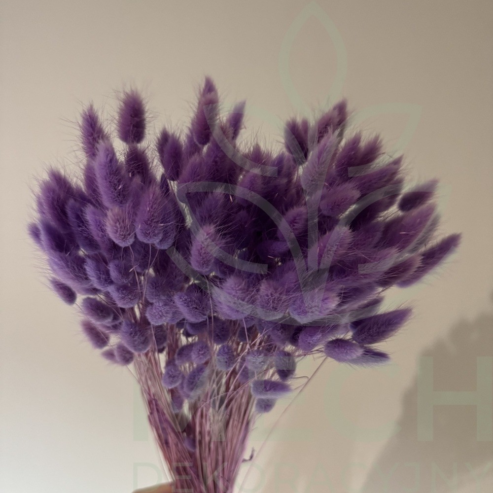 Fioletowy dmuszek suszony.jpg