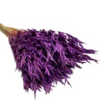 Owies suszony | fioletowy | ok. 100 g