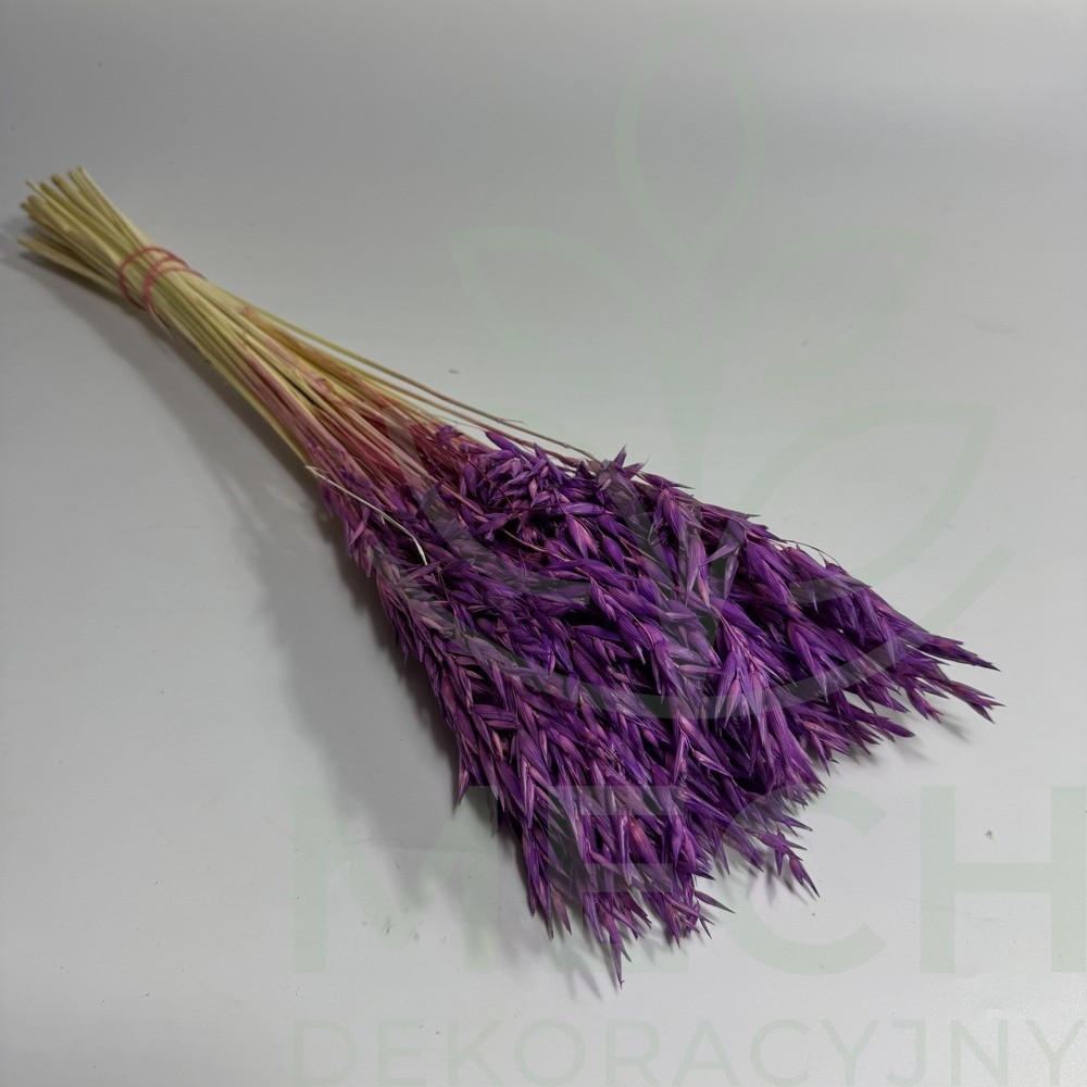 Owies fioletowy suszony.jpg