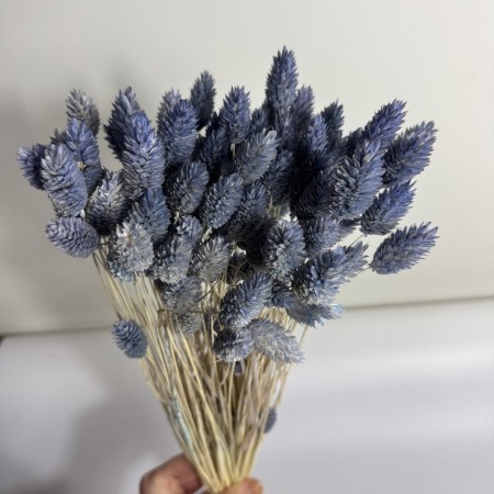 Suszony kanar jasnoniebieski.jpg