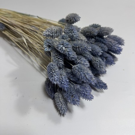 Kanar suszony jasnoniebieski.jpg