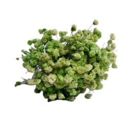 Przejdź do produktu Gipsówka stabilizowana jasnozielona MINI SELECT kwiaty dekoracja DIY