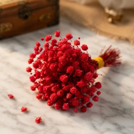 Czerwona mini gipsówka.jpg