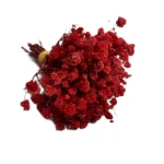 Gipsówka stabilizowana czerwona MINI SELECT kwiaty dekoracja DIY