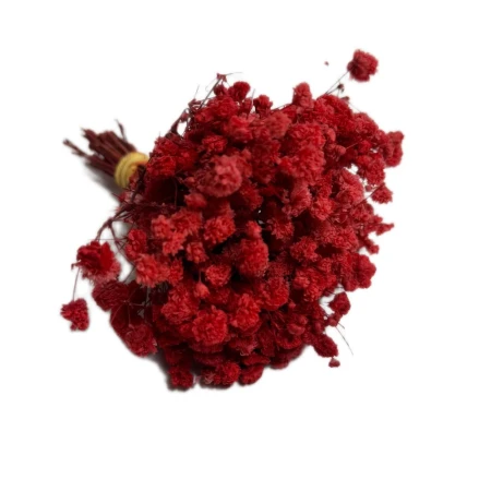 Gipsówka mini czerwona.jpg