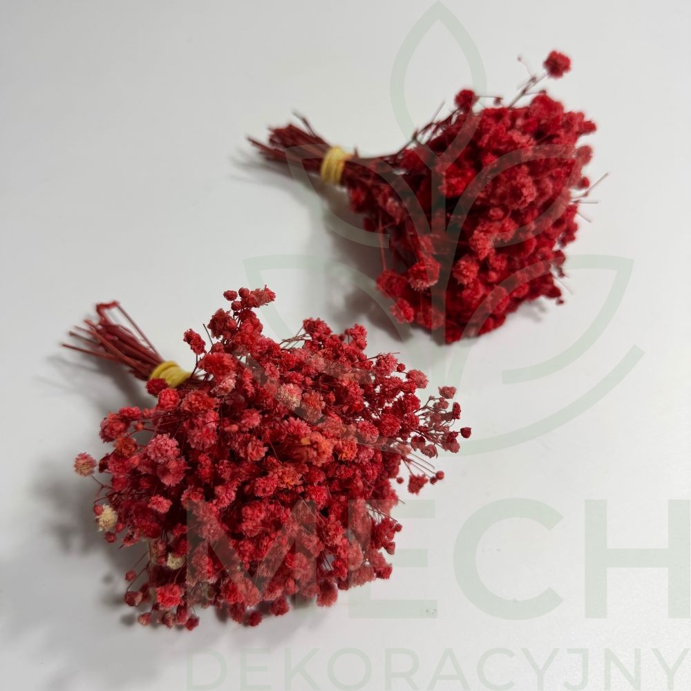 Mini gipsówka czerwona.jpg