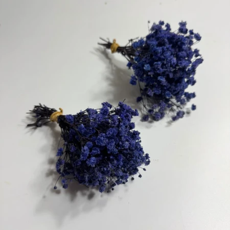 Granatowa gipsówka.jpg