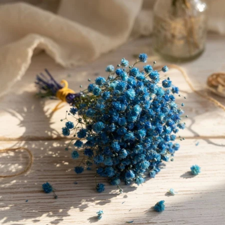 Granatowa mini gipsówka.jpg