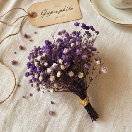 Gipsówka mini fioletowa.jpg