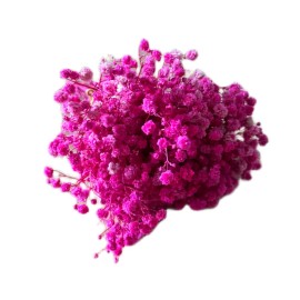 Przejdź do produktu Gipsówka stabilizowana fuksja MINI SELECT kwiaty dekoracja DIY