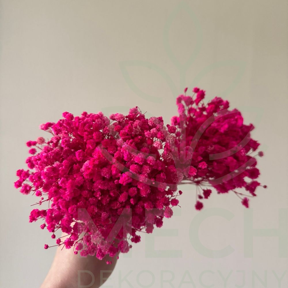 Gipsówka mini fuksja.jpg