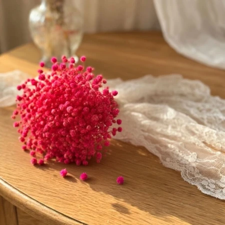 Mini fuksja gipsówka.jpg