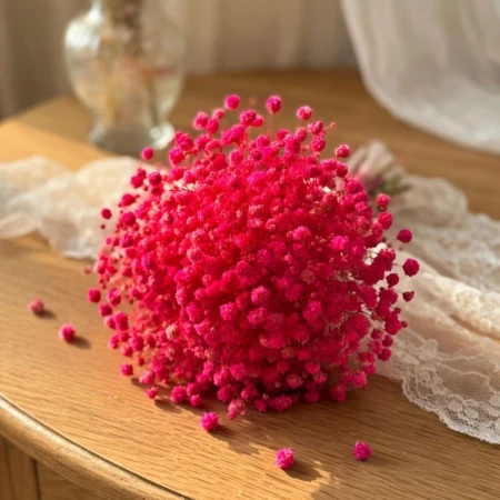 Mini gipsówka fuksja.jpg