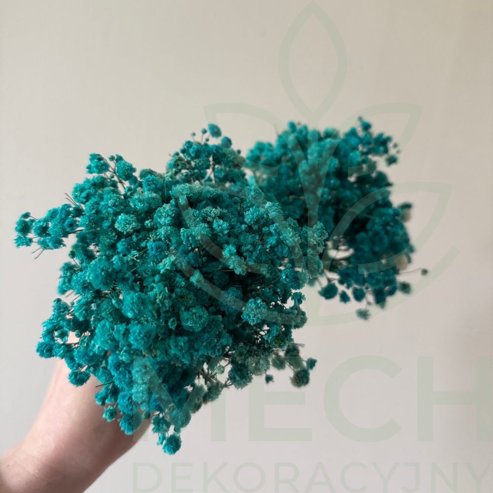 Mini niebieska gipsówka.jpg