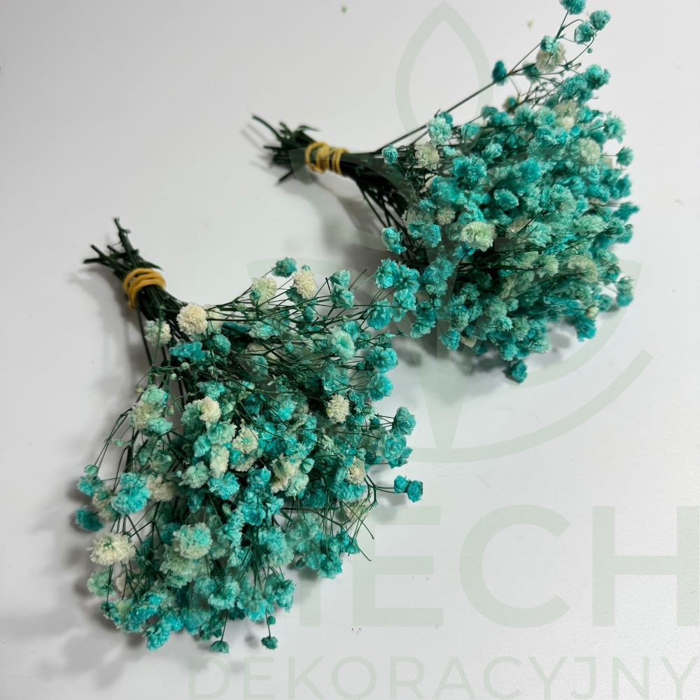 Gipsówka jasnoniebieska mini.jpg