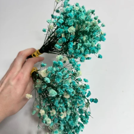 Gipsówka mini jasnoniebieska.jpg