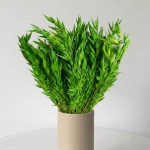Owies suszony zielony, ok. 100 g, zboże do dekoracji