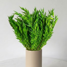 Przejdź do produktu Owies suszony zielony, ok. 100 g, zboże do dekoracji