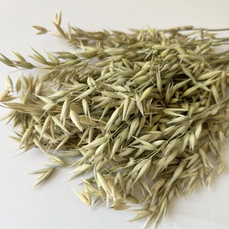 Naturalny owies.jpg