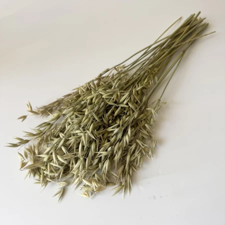 Owies suszony naturalny.jpg