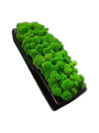 Doniczka czarna rynna - zieleń.png