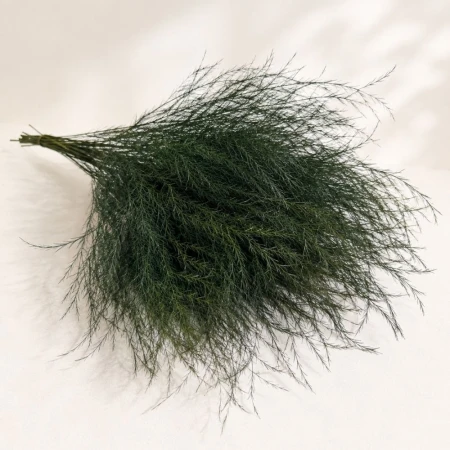 Asparagus zielony stabilizowany.jpg