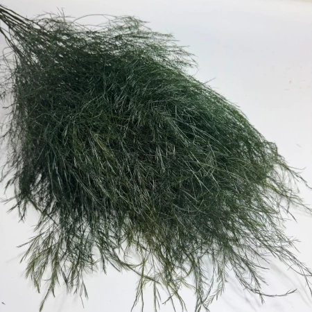 Asparagus zielony.jpg