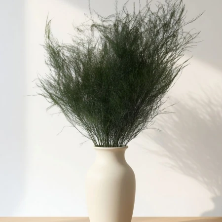 Zielony asparagu stabilizowany.jpg