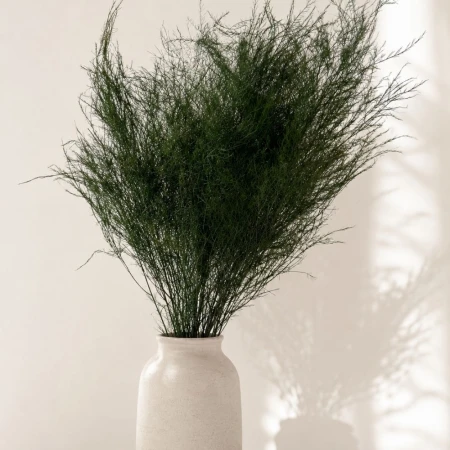 Zielony stabilizowany asparagus.jpg