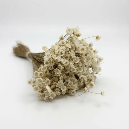 Naturalna glixia suszona.jpg