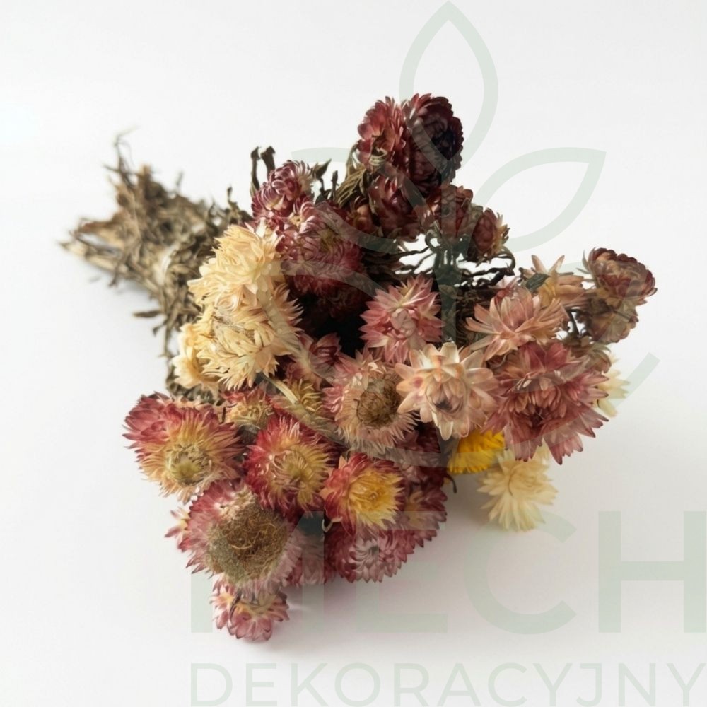 Kocanka mix kolorów.jpg