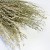 Lepidium naturalne suszone.jpg