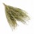 Lepidium naturalne.jpg
