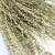 Lepidium suszone naturalne.jpg