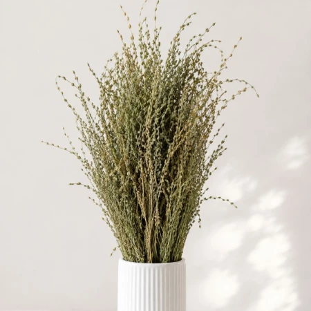 Naturalne lepidium.jpg