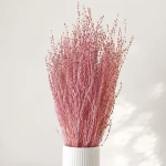 Lepidium suszone różowe ok. 100 gram do dekoracji