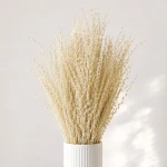 Lepidium suszone białe ok. 100 gram do dekoracji