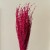 Lepidium suszone fuksja.jpg