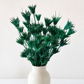 Przejdź do produktu Czarnuszka Nigella suszona do dekoracji butelkowa zieleń