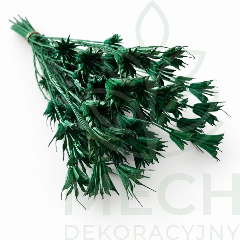 Czarnuszka Nigella butelkowa zieleń.jpg